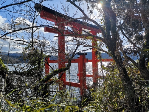 Japanese Torii on the island in spring