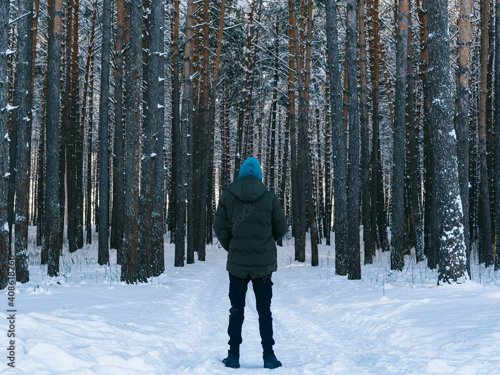 Naklejka premium Photo from back of man for walk in winter forest. Russian landscapes, freedom