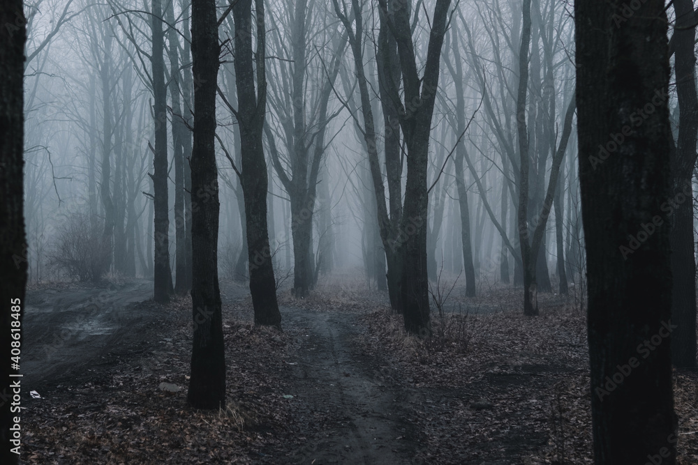 Fototapeta premium The road through the dark misty forest in the evening. Fabulous mystical landscape