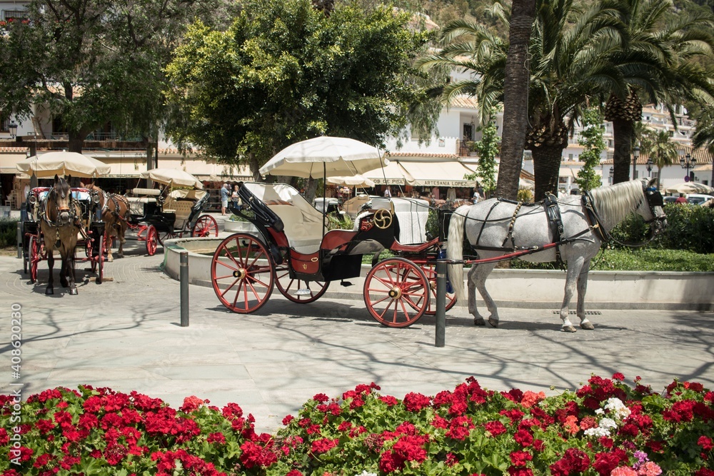 Horses in Andalusian old town Mijas during sunny day. Lot of green plants around.