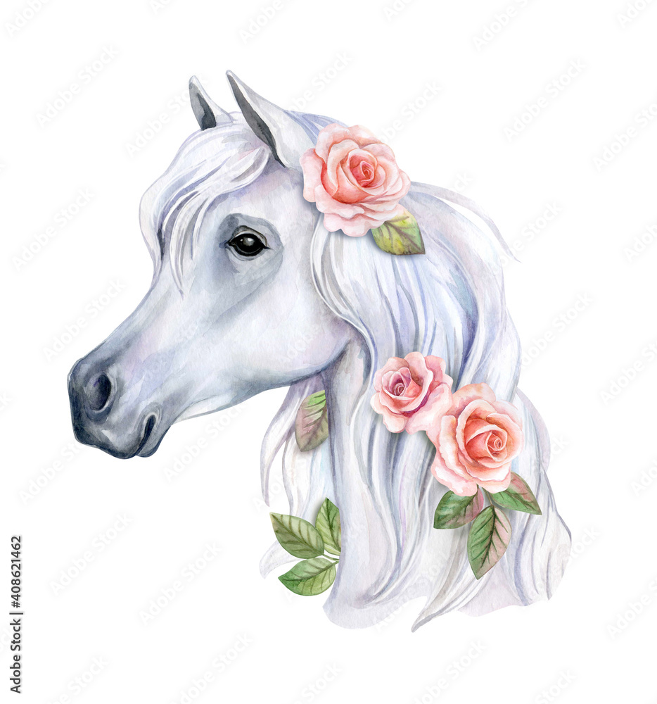 Naklejka Portret białego konia z kwiatami, róże na białym tle. Akwarela. Ilustracja. Tamplate