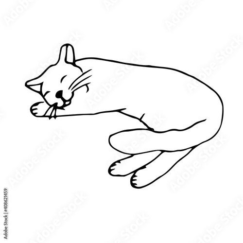 Resting cat, vector illustration, hand drawing, sketch