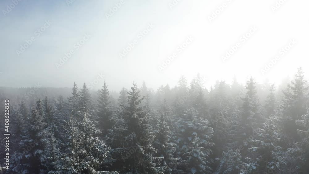 Aerial view, mysterious mountain landscape on a cloudy winter day, foggy forest, winter landscape Aerial view, mysterious mountain landscape on a cloudy winter day, foggy forest, winter landscape