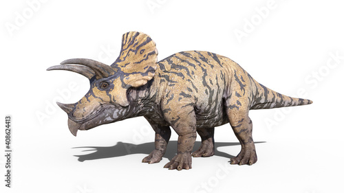 Triceratops, dinosaur reptile standing, prehistoric Jurassic animal isolated on white background, 3D illustration © freestyle_images