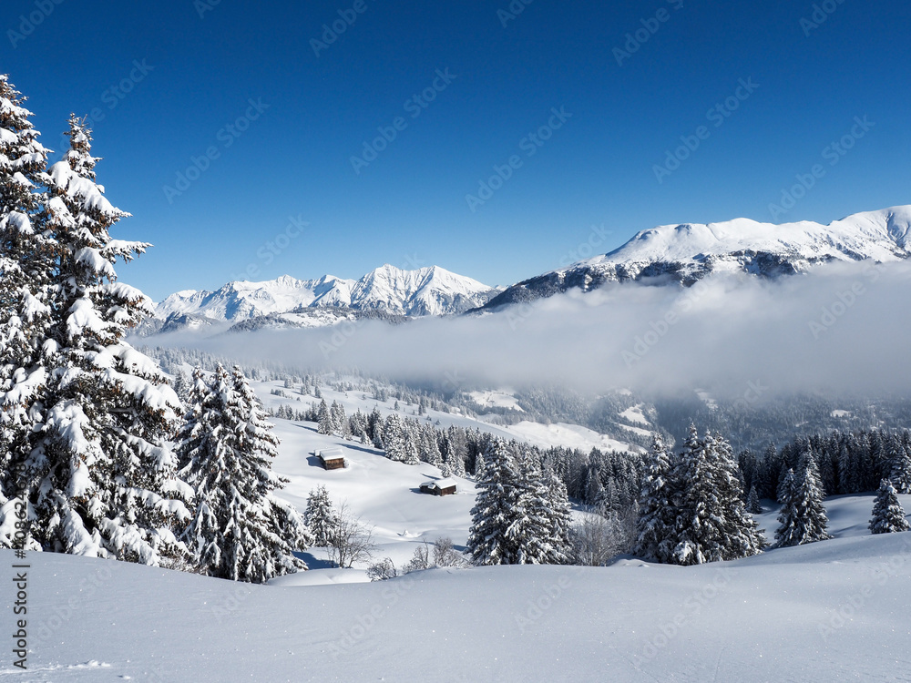 Winter landscape of the Schamserberg and Piz Beverin nature park.