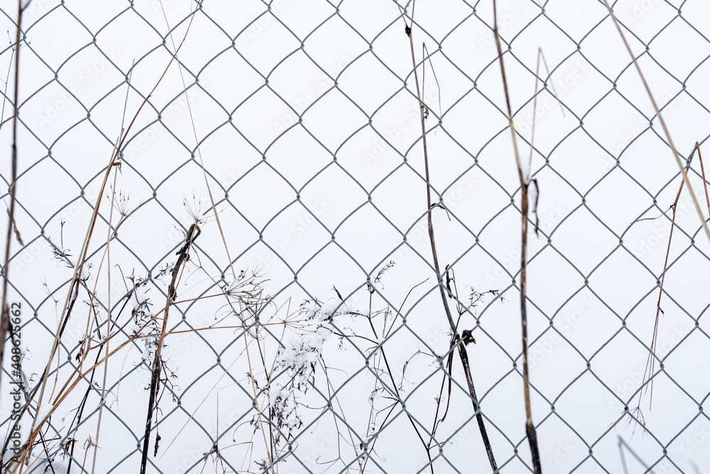 in the winter snow a black metal fence and some plants form an interesting pattern in the winter snow a black metal fence and some plants form an interesting pattern