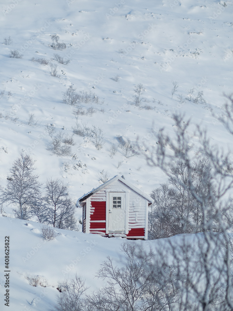 Red cabin