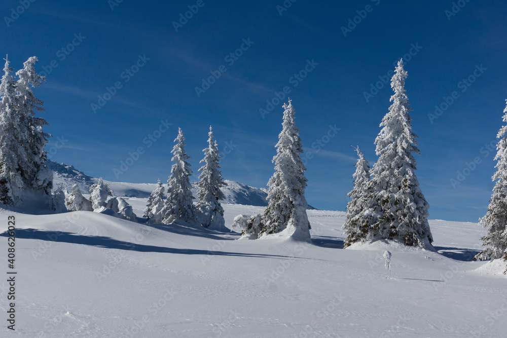 Winter view of Vitosha Mountain, Sofia City Region, Bulgaria
