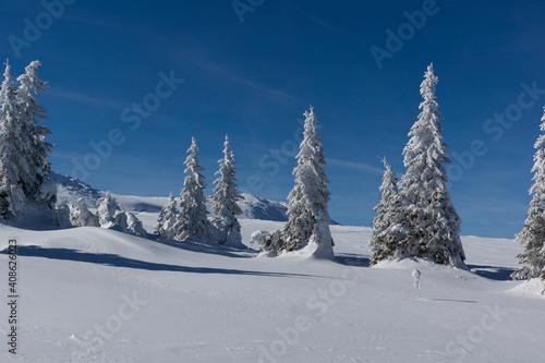 Winter view of Vitosha Mountain, Sofia City Region, Bulgaria © Stoyan Haytov