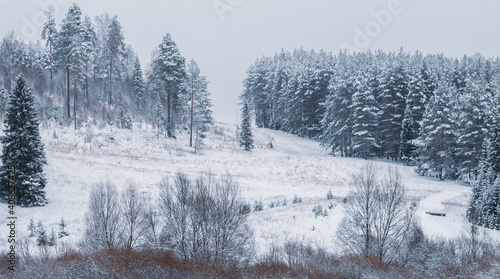 Snow-covered hill with forest at the Stone Hill park on a frosty winter day. Beautiful landscape with conifer forest on snowy cloudy day. Frozen nature in fantastic white forest.