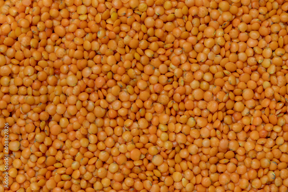 Raw green lentil background pattern and texture Raw green lentil background pattern and texture
