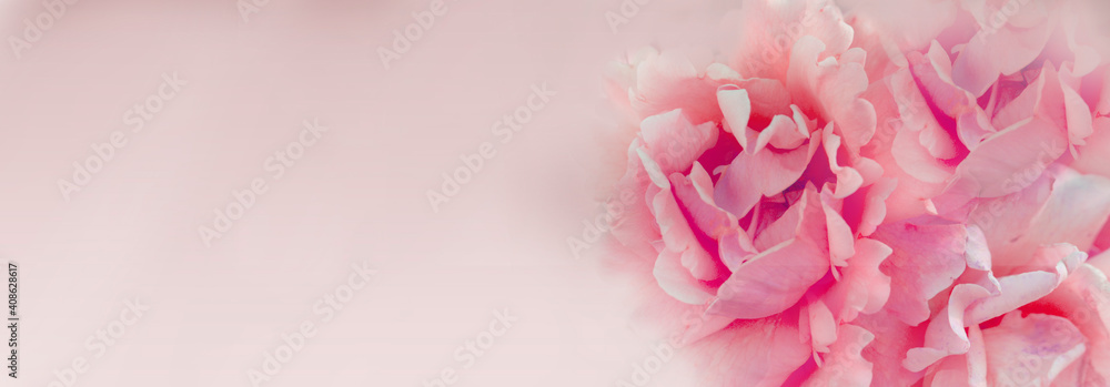 Obraz premium Blurred background with rose of pink color. Copy space for your text. Mock up template