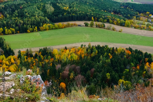 Wallpaper Mural twisted green hills and colorful trees in autumn Torontodigital.ca