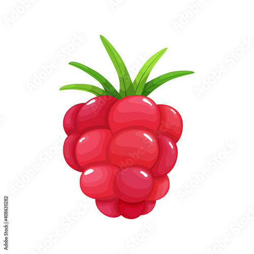 Colorful fruit. Raspberry icon. Vector illustration berry and fruit in flat cartoon style, isolated on white. Healthy lifestyle or vegetarian food concept