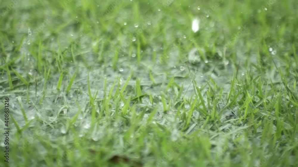 Super Camera Slow Motion Rain Drops Falling in the Grass 4K at 500 FPS Super Camera Slow Motion Rain Drops Falling in the Grass 4K at 500 FPS