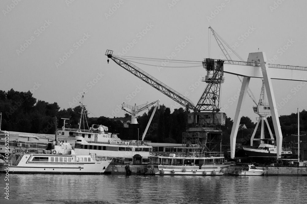 Fototapeta premium cranes in port