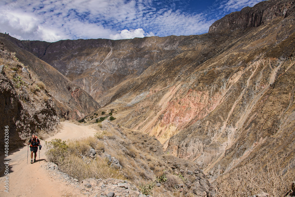 Trekking into the Colca Canyon, Cabanaconde, Peru Trekking into the Colca Canyon, Cabanaconde, Peru