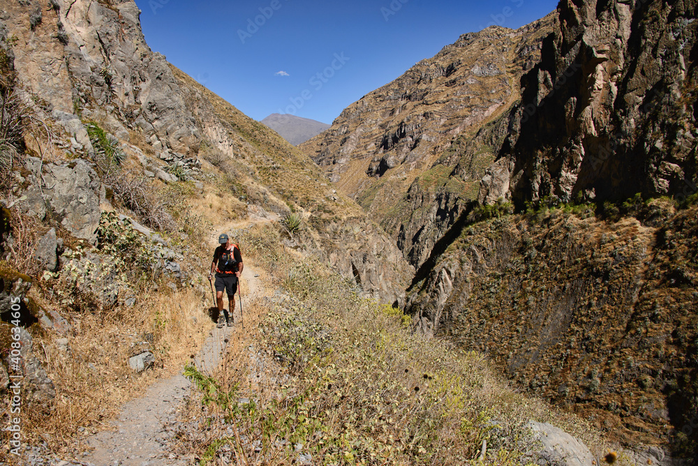 Trekking into the Colca Canyon, Cabanaconde, Peru