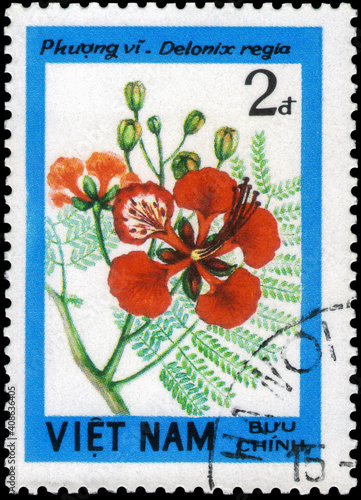 Postage stamp issued in the Vietnam with the image of the Flamboyant, Delonix regia. From the series on Blossoming Woody Plants, circa 1984