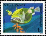 Postage stamp issued in the Vietnam with the image of the Striated Frogfish, Antennarius tridens. From the series on Fish, circa 1984
