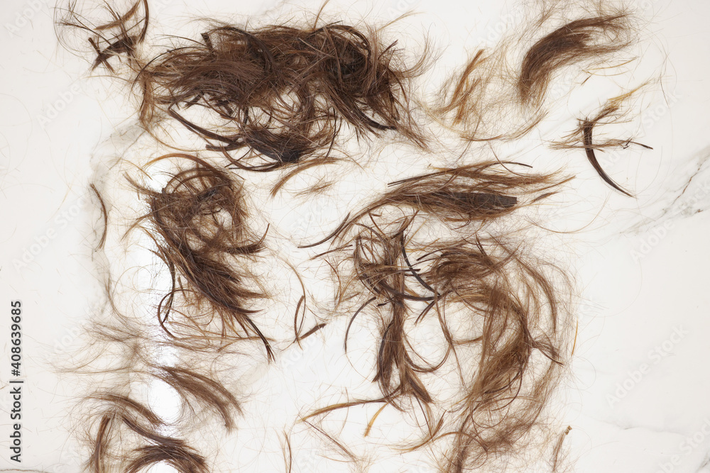 Cut off split ends of hair lie on floor. How to cut hair ends correctly concept