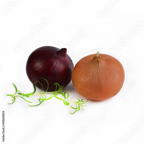 Fresh onions on a white background.Healthy food.
