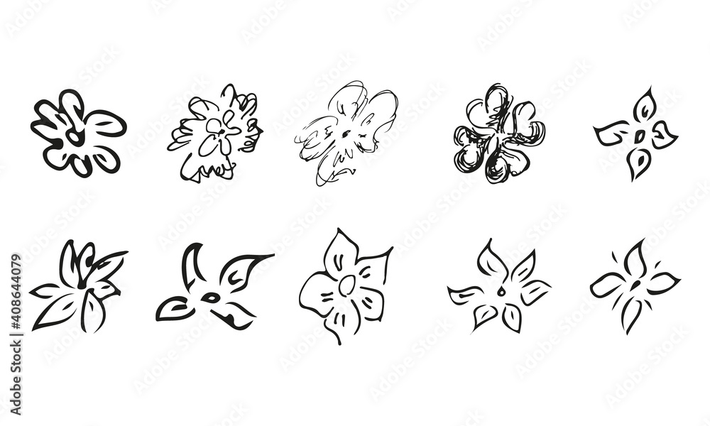 10 hand-drawn blossom wildflowers. Big collection of 10 hand-drawn roses. Big floral botanical set. Isolated on white background. Doodle simple vector collection. 10 hand-drawn blossom wildflowers. Big collection of 10 hand-drawn roses. Big floral botanical set. Isolated on white background. Doodle simple vector collection.