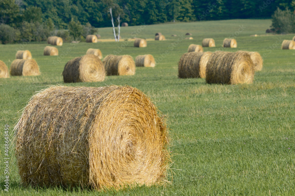 Heuballen auf einem Feld in Kanada Heuballen auf einem Feld in Kanada