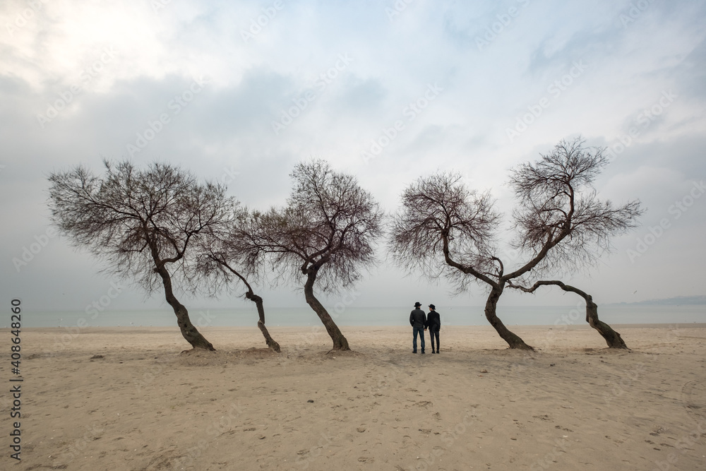 Couple walking through odd shaped trees Couple walking through odd shaped trees