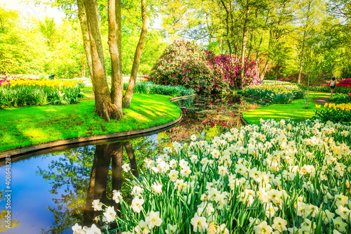 fresh lawn with flowers photo