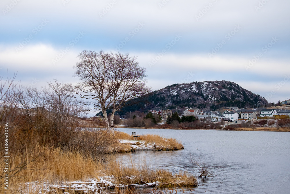 An autumn scene of a large birch tree with no leaves near the grassy edge of a calm pond. The water is a grey blue colour. There's a mountain in the background with snow under a blue cloudy sky.