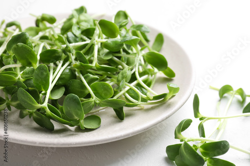 Plate with fresh microgreen on white table  closeup