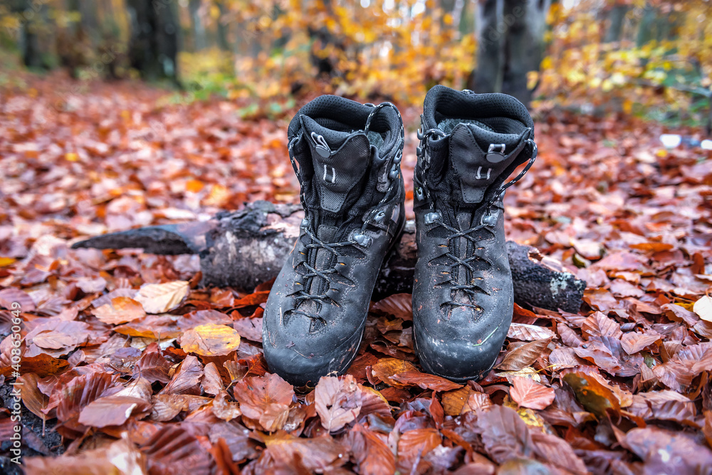 professional hiking boots in the forest