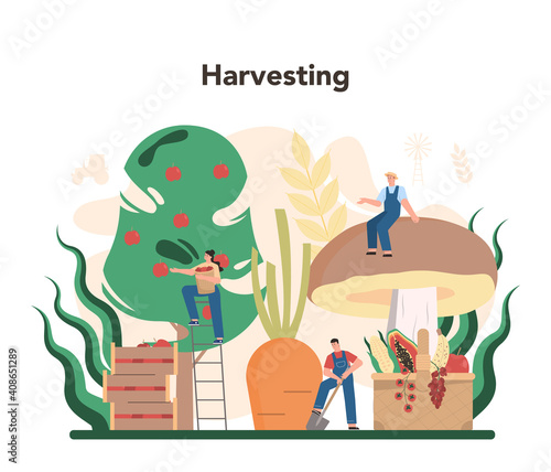 Agriculture concept. Farming food cultivation and production