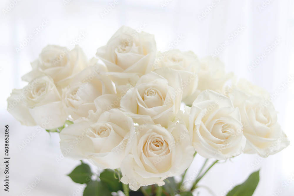 Fresh white roses, wedding, and holiday arrangements. Valentine`s Day and holiday background. Fresh white roses, wedding, and holiday arrangements. Valentine`s Day and holiday background.