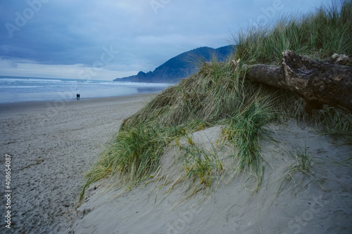 Sandy Dunes turn into Coastal Beach in Oregon