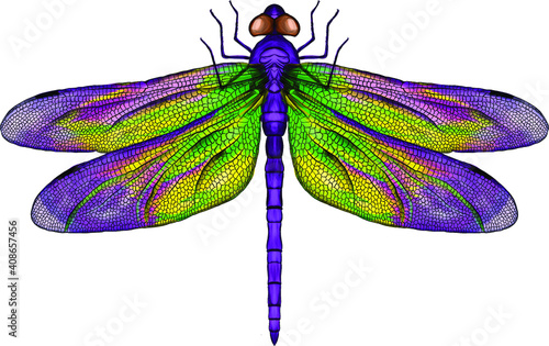 purple and yellow dragonfly with delicate wings vector illustration