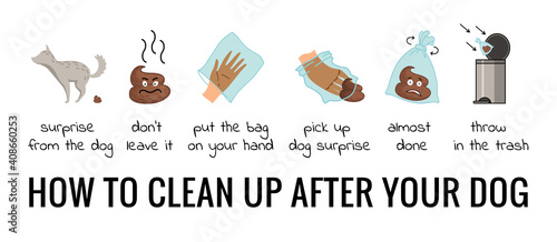 Dog poo clean up steps infographic set. Vector poster about hygiene animal, toilet cleaning information after your dog. Pick up poo after pets, picking waste in canine bag and throw in the trash