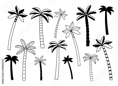 Set of palm trees, vector illustration, hand drawn and silhouette of palm, isolated icon. Black drawing on a white background. 