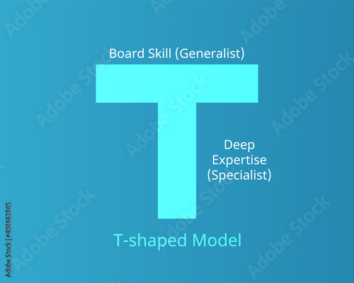 T-shaped model to to describe the abilities of persons vector