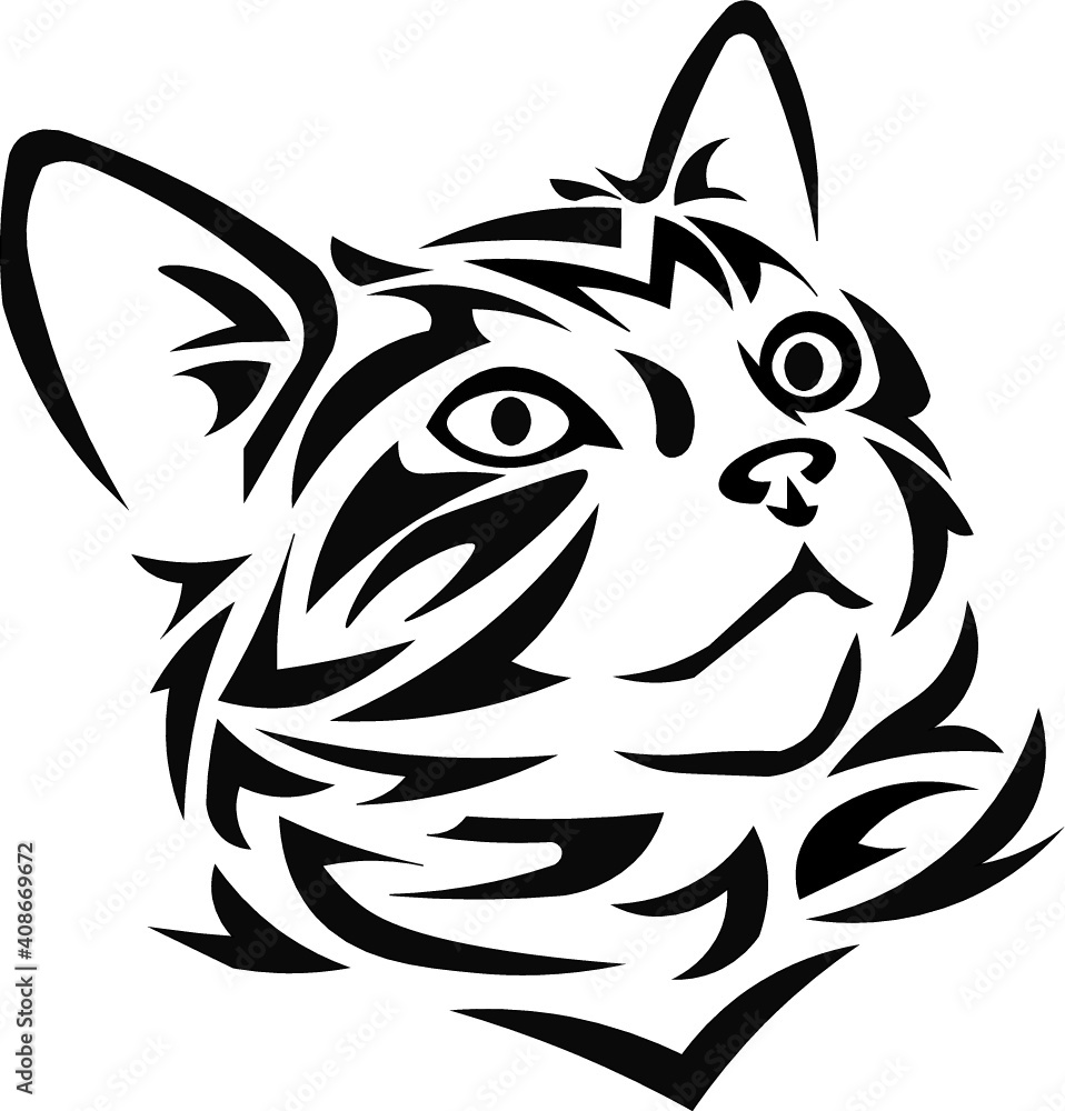 Obraz premium graffiti cat