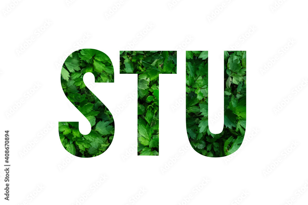 English alphabet in green letters on white background.Zero waste.Concept.Eco-friendly life.Protection of the environment.Eco.Spring.banner English alphabet in green letters on white background.Zero waste.Concept.Eco-friendly life.Protection of the environment.Eco.Spring.banner
