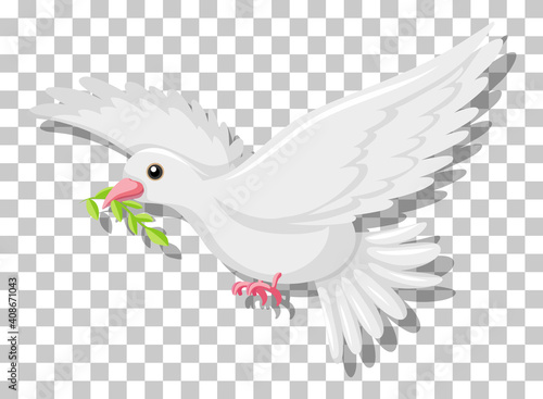 White pigeon flying with green twig olive isolated on transparent background