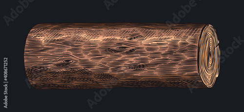 Wood or stump. Piece of Tree. Plank and log, lumber and Cut, Firewood in vintage style. Vector illusion for signboard, labels, logo or banner. Campfire material. Engraved Hand drawn sketch.