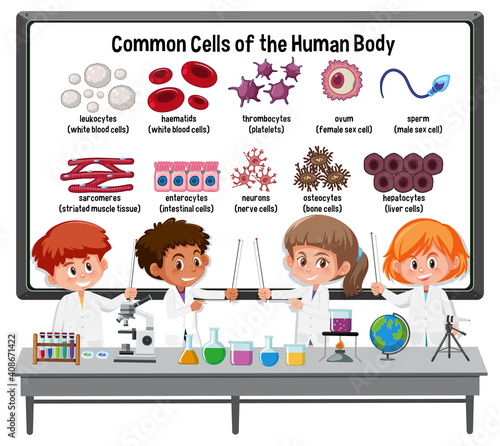 Many young scientists explaining common cells of the human body in front of a board with laboratory elements