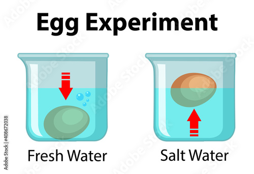 Science experiment with egg float test