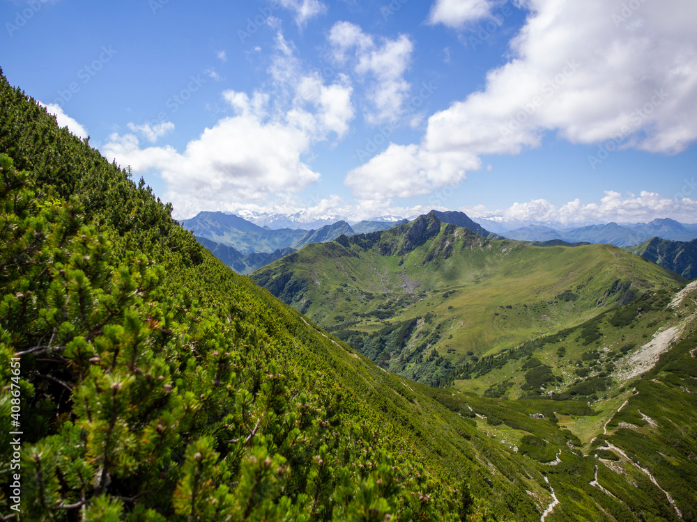 Fototapeta premium landscape with sky