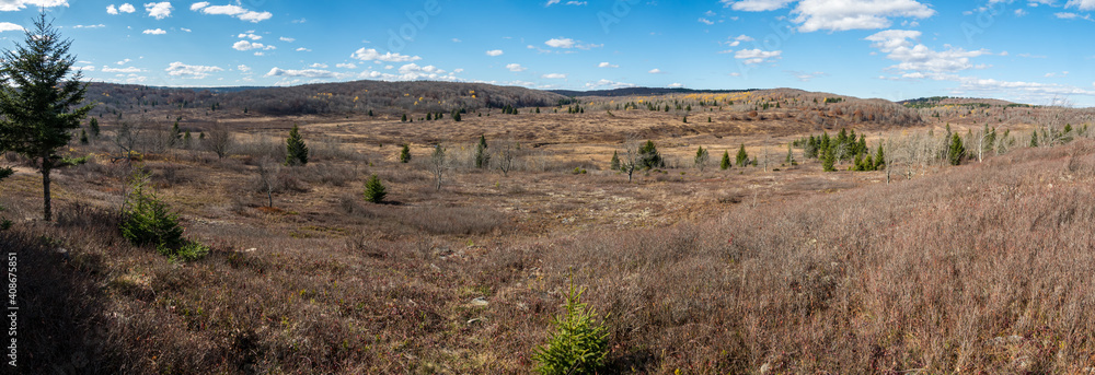 Panoramic of Dolly Sods Wilderness in late autumn, West Virginia Appalachian wilderness. Panoramic of Dolly Sods Wilderness in late autumn, West Virginia Appalachian wilderness.