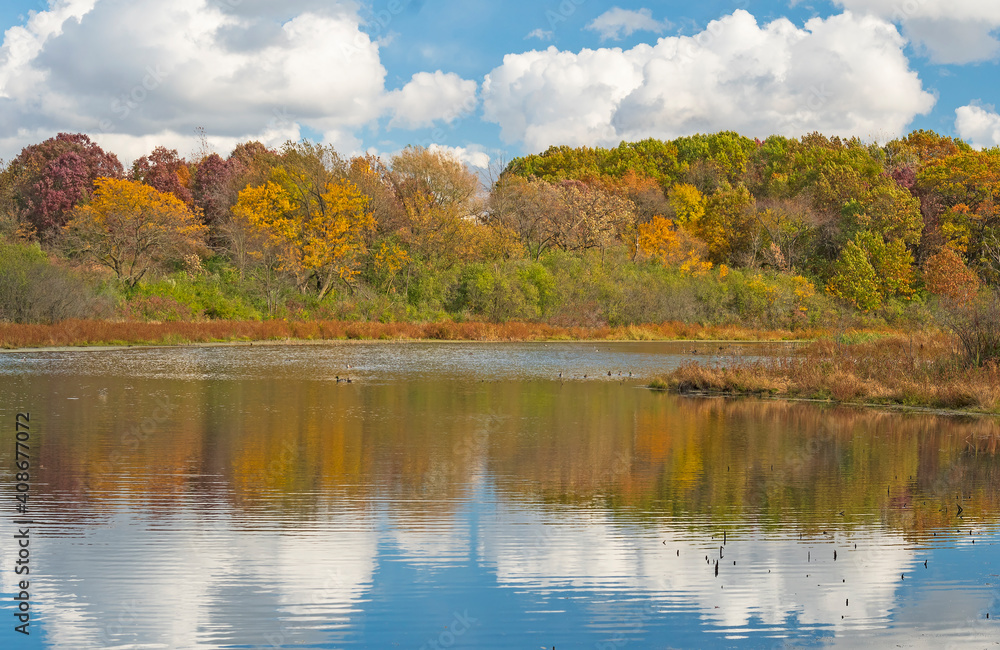 October Colors on a Wetland Pond October Colors on a Wetland Pond