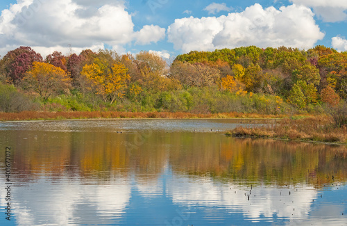 October Colors on a Wetland Pond